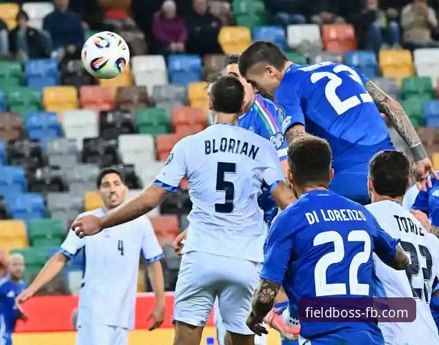 FB体育怎么样使用技巧 揭秘意大利连续三届无缘世界杯背后的数据与观赛体验